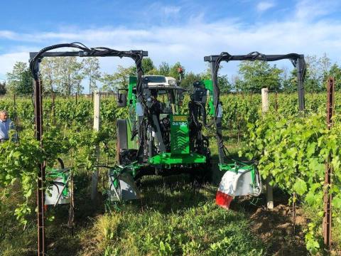 Da Ros Green / DaRos Green SPL szőlőhajtás eltávolító Da Ros Green / DaRos Green SPL szőlőhajtás eltávolító