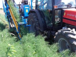 EUROPA F 285 1-soros nyűvőszíjas betakarítógép,  édesköményre