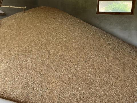 Búza,  Zab Búza,  Zab