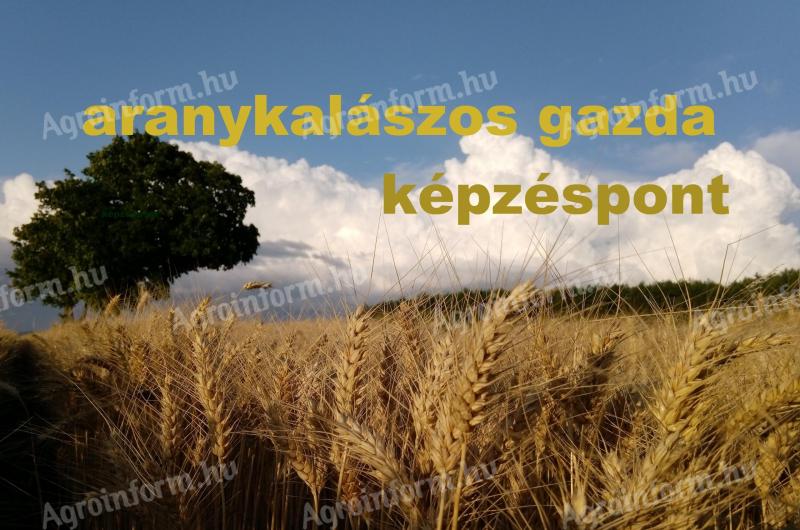 Aranykalászos gazda tanfolyam - Győr/Koroncó