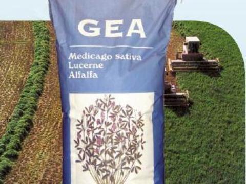 Gea lucerna vetőmag személyes átvétellel, házhozszállítással Gea lucerna vetőmag személyes átvétellel, házhozszállítással