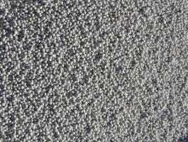 Alexandriai here fémzárolt vetőmag eladó postai utánvéttel