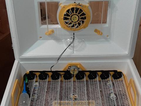 Teljesen Automata Tojáskeltető Teljesen Automata Tojáskeltető