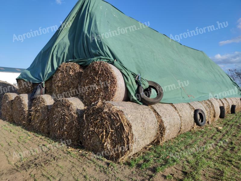 Körbálás kukoricaszár eladó Jászapátin