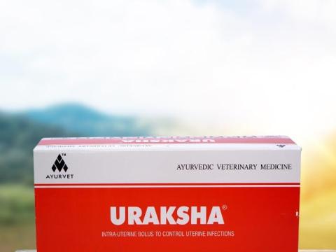 URAKSHA méhtabletta méhfertőzés megelőzésére, placentakiürülés támogatására, antibiotikum-mentes, gyógynövényalapú készítmény URAKSHA méhtabletta méhfertőzés megelőzésére, placentakiürülés támogatására, antibiotikum-mentes, gyógynövényalapú készítmény