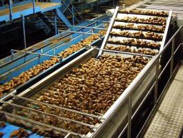 WYMA SZIVACSHENGERES SZÁRÍTÓ /burgonya,  gumós termények,  stb./