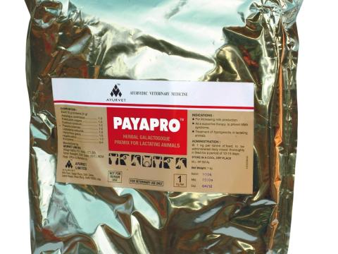 PAYAPRO POR 1kg- TEJHOZAMNÖVELŐ,  HORMONMENTES GYÓGYHATÁSÚ TERMÉK PAYAPRO POR 1kg- TEJHOZAMNÖVELŐ,  HORMONMENTES GYÓGYHATÁSÚ TERMÉK