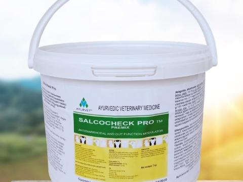 SALCOCHEK PRO szalmonella,  E. coli,  Clostridium és egyéb eredetű hasmenés elleni gyógynövényes készítmény haszonállatoknak,  1 kg