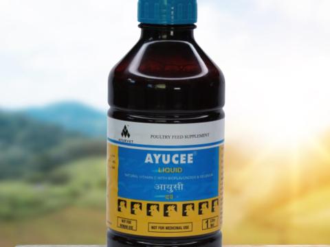 AYUCEE természetes C-vitamin tartalmú immunerősítő,  stresszellenes itatófolyadék baromfinak és galambnak,  1 liter