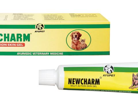 NEWCHARM GÉL 25 gr - HÁMSÉRÜLÉSEK KIEGÉSZÍTŐ KEZELÉSÉRE,  HÁMOSÍTÓ GYÓGYHATÁSÚ KÉSZÍTMÉNY NEWCHARM GÉL 25 gr - HÁMSÉRÜLÉSEK KIEGÉSZÍTŐ KEZELÉSÉRE,  HÁMOSÍTÓ GYÓGYHATÁSÚ KÉSZÍTMÉNY