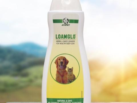 LOAMGLO gyógynövényes kutyasampon koncentrátum 200 ml LOAMGLO gyógynövényes kutyasampon koncentrátum 200 ml