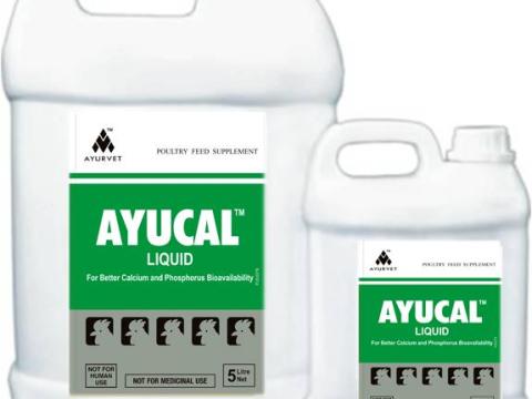 TOJÁSHÉJ ERŐSÍTÉS AYUCAL ITATÓFOLYADÉK 200ml- KALCIUM- ÉS FOSZFOR FELSZÍVÓDÁST SEGÍTŐ