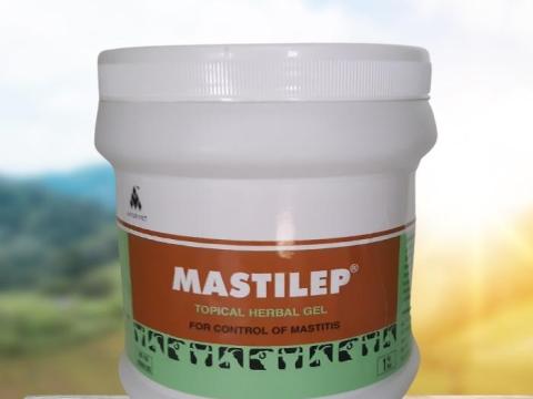 MASTILEP tőgygyulladás elleni gyógynövényes tőgygél, 1 kg MASTILEP tőgygyulladás elleni gyógynövényes tőgygél, 1 kg