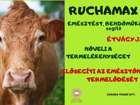RUCHAMAX POR 1kg GYÓGYNÖVÉNYTARTALMÚ,  EMÉSZTÉST,  BENDŐMŰKÖDÉST SEGÍTŐ KÉSZÍTMÉNY RUCHAMAX POR 1kg GYÓGYNÖVÉNYTARTALMÚ,  EMÉSZTÉST,  BENDŐMŰKÖDÉST SEGÍTŐ KÉSZÍTMÉNY