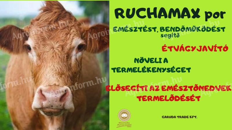 RUCHAMAX POR 1kg GYÓGYNÖVÉNYTARTALMÚ,  EMÉSZTÉST,  BENDŐMŰKÖDÉST SEGÍTŐ KÉSZÍTMÉNY