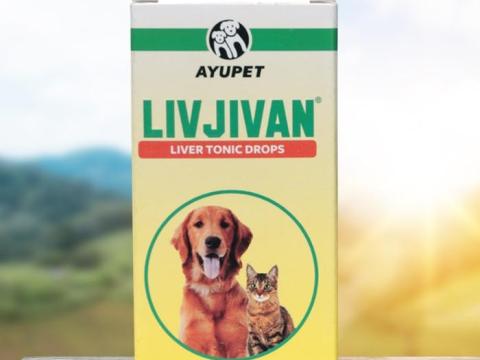 LIVJIVAN májvédő,  immunerősítő,  étvágyjavító gyógynövényes cseppek kutyáknak,  30 ml
