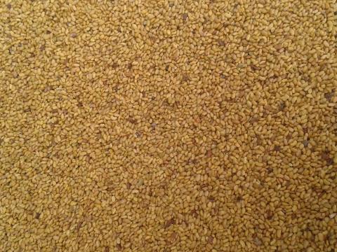 Szarvasi Kinga fajtájú fémzárolt lucernamag eladó postai utánvéttel Szarvasi Kinga fajtájú fémzárolt lucernamag eladó postai utánvéttel