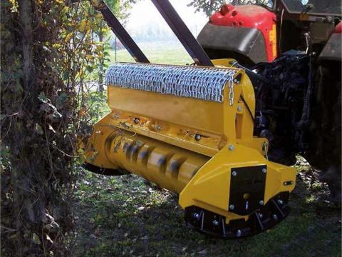 Orsi W Forrest Orsi W Forrest