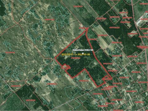 KISKUNHALAS KÜLTERÜLETÉN 40 HA VÁGÁSÉRETT FENYŐ ÉS SZÜRKENYÁR ERDŐ ELADÓ KISKUNHALAS KÜLTERÜLETÉN 40 HA VÁGÁSÉRETT FENYŐ ÉS SZÜRKENYÁR ERDŐ ELADÓ