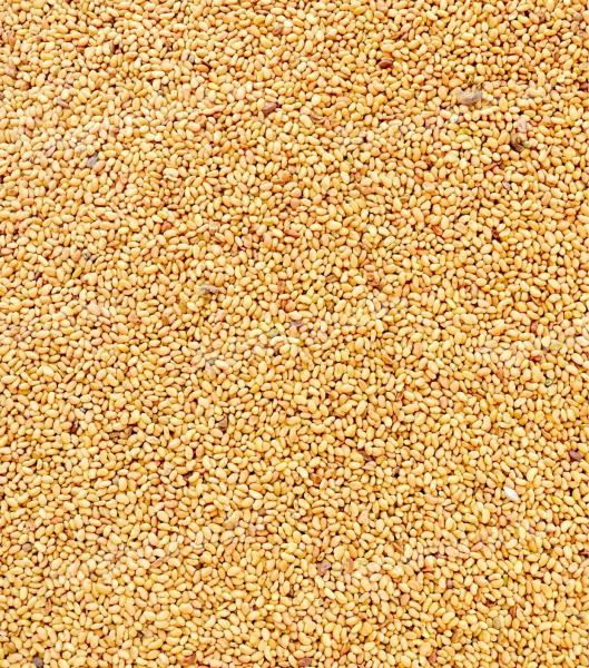 Szarvasi Viktória fémzárolt lucernamag eladó postai utánvéttel