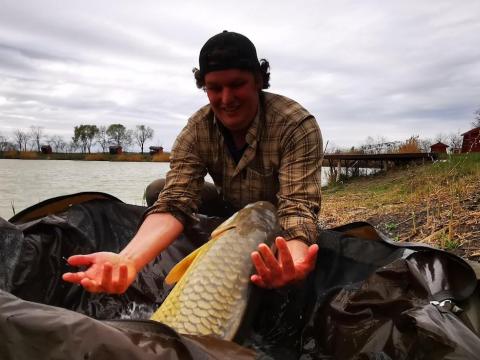 Nagyhalas horgásztó partján közvetlen vízparti telek Nagyhalas horgásztó partján közvetlen vízparti telek
