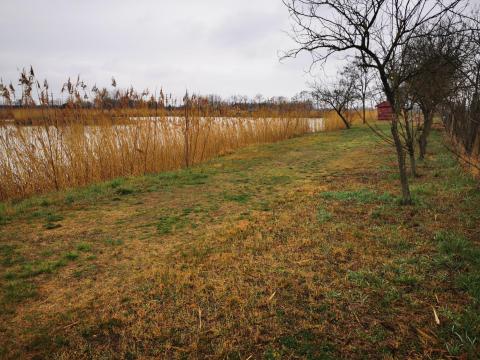 Közvetlen vízparti telek magán horgásztó mellett – befektetési lehetőség