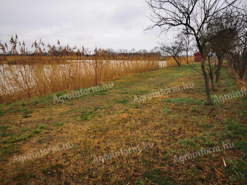 Közvetlen vízparti telek magán horgásztó mellett – befektetési lehetőség