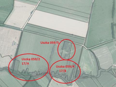 Uszka föld,  erdő eladó Uszka föld,  erdő eladó