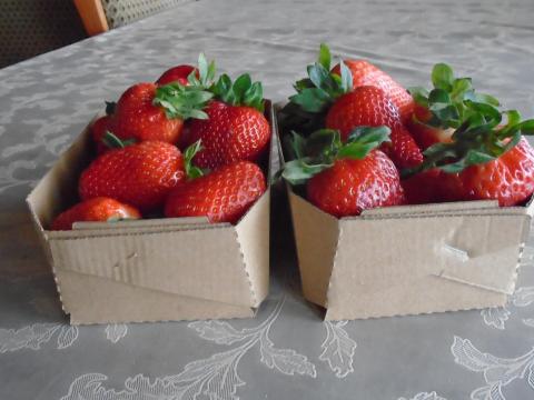 Papírtálca,  kínálótálca szamócának és egyéb apró gyümölcsöknek