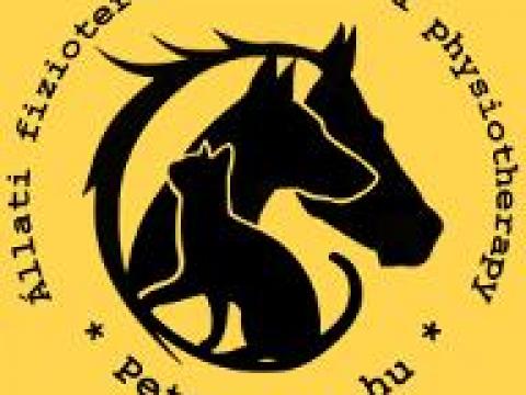 * Állati fizioterápia * Animal physiotherapy * Állati fizioterápia * Animal physiotherapy