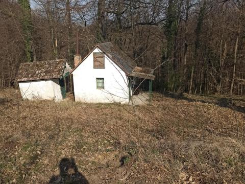 Erdő eladó vadászházzal Erdő eladó vadászházzal