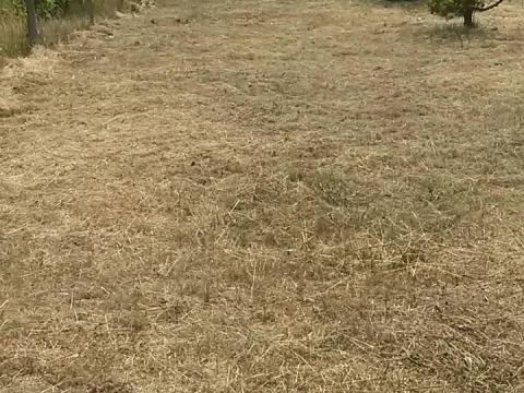 Kulteruleti fold Kulteruleti fold