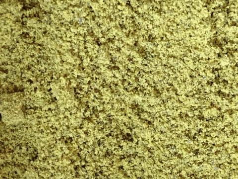 Tökmagliszt / Tökmag őrlemény eladó postai úton is, utánvéttel