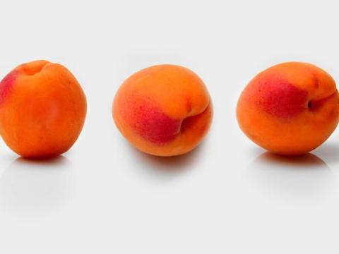 Kajszibarackot vennék nagy tételben