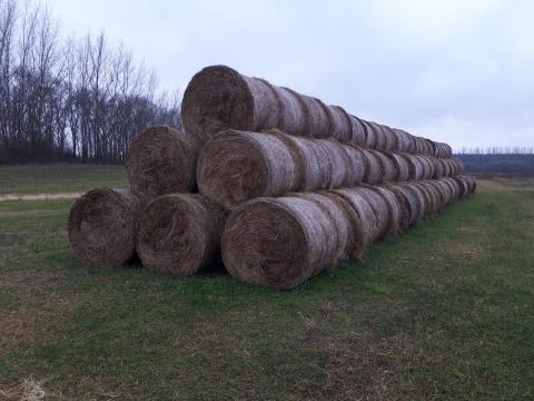 Eladó 125-ös kör szénabálák Eladó 125-ös kör szénabálák