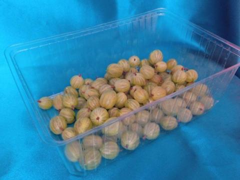 Gombás-epres műanyag 1 kg-os doboz Gombás-epres műanyag 1 kg-os doboz