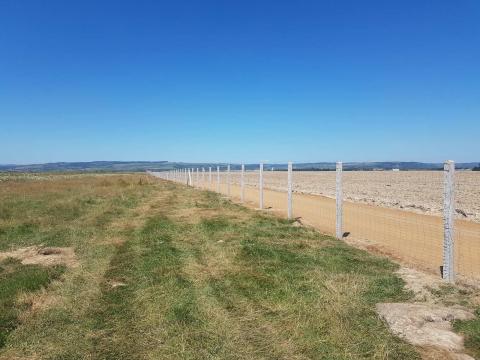 Kerítés építés vadháló drótfonat betonoszlop kerítésdrót drótkerítés táblás panel Kerítés építés vadháló drótfonat betonoszlop kerítésdrót drótkerítés táblás panel