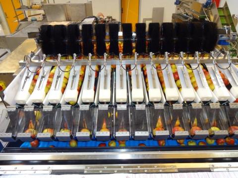 Newtec mérlegek széles választéka az Sz&B Agro Kft-től Newtec mérlegek széles választéka az Sz&B Agro Kft-től