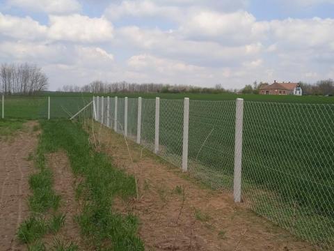 Trapéz betonoszlop vadháló drótfonat