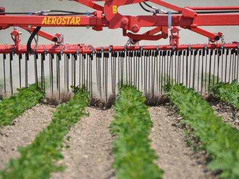 EINBÖCK gyomfésűk 18 - 24 m a sikeres gyomkezelés és vízmegőrzés érdekében EINBÖCK gyomfésűk 18 - 24 m a sikeres gyomkezelés és vízmegőrzés érdekében