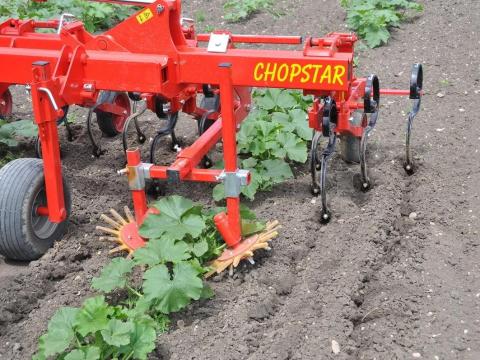 EINBÖCK CHOPSTAR TÖK sorközművelő kultivátor a gyomkezelés és vízmegőrzés érdekében EINBÖCK CHOPSTAR TÖK sorközművelő kultivátor a gyomkezelés és vízmegőrzés érdekében
