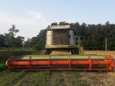 Bérgépész Bérelhető Gépkezelő