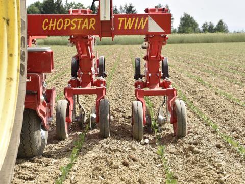 EINBÖCK CHOPSTAR PRECÍZIÓS ZÖLDSÉG SORKÖZMŰVELŐ KULTIVÁTOR