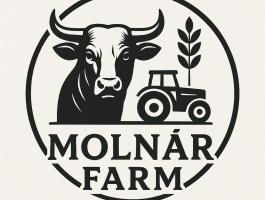 Húshasznú borjú felvásárlás