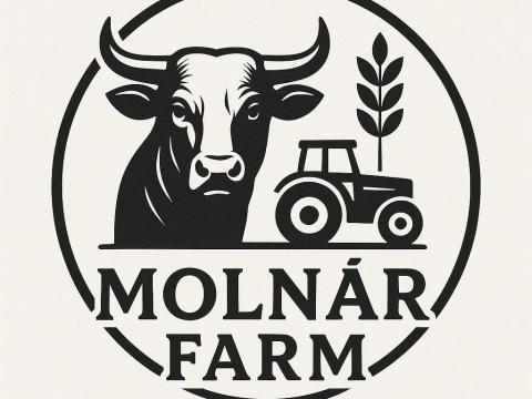 Húshasznú borjú felvásárlás – Magyartarka, Charolais, Limousin, Blonde fajták előnyben Húshasznú borjú felvásárlás – Magyartarka, Charolais, Limousin, Blonde fajták előnyben