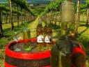 Chardonnay házi bor eladó