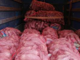 Eladó henger cékla termelőtől