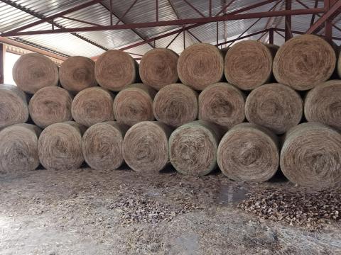 Körbálás réti széna