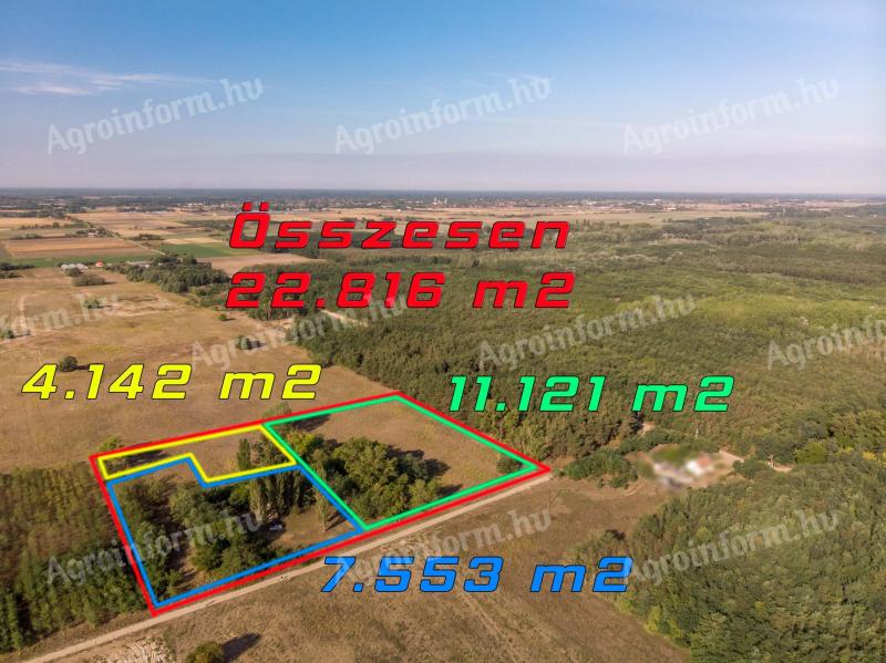 Lajosmizse külterületén,  15.263 m2 szőlő,  szántó,  eladó