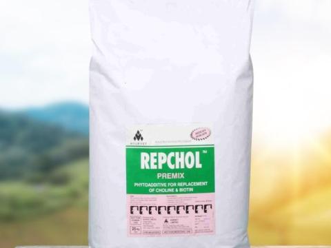 REPCHOL: Természetes,  növényi eredetű,  jól hasznosuló kolin- és biotintartalmú készítmény